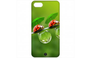 435 - Coccinelle