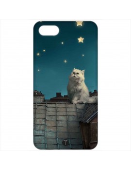 437 - Gatto