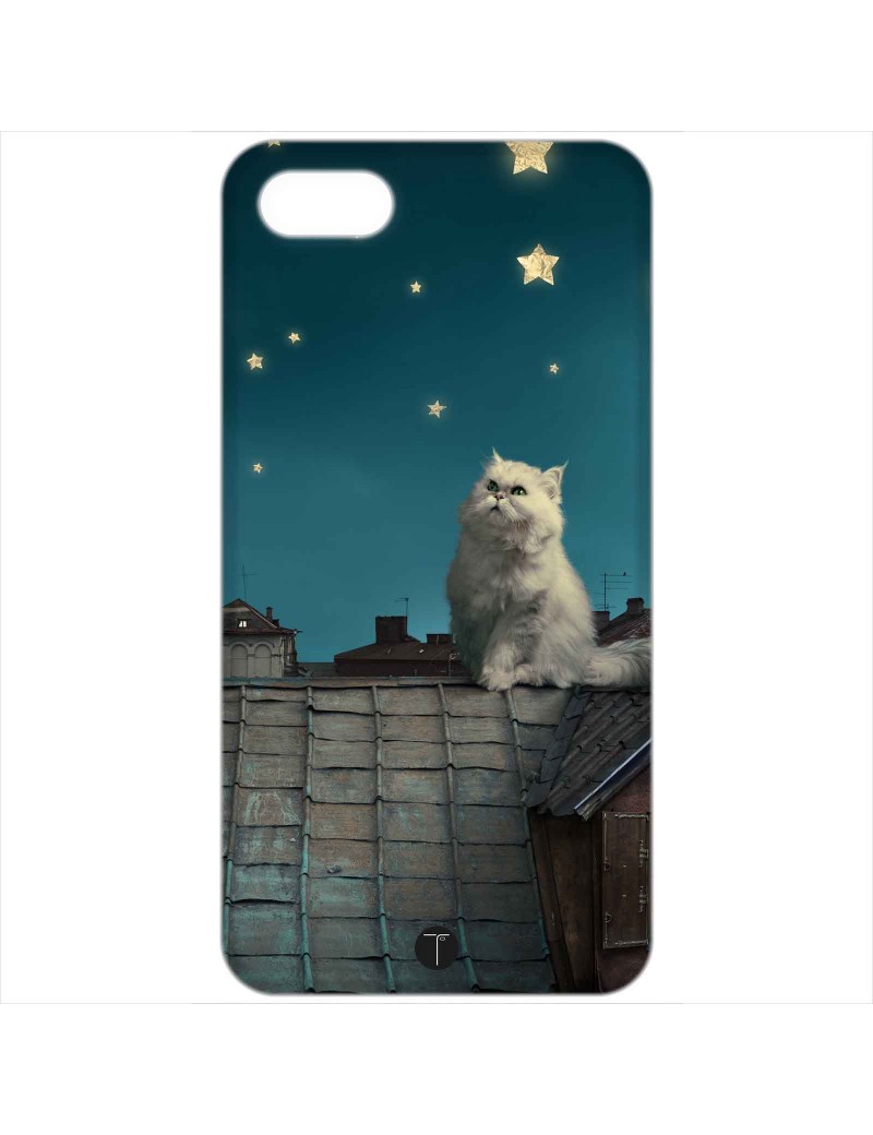 437 - Gatto