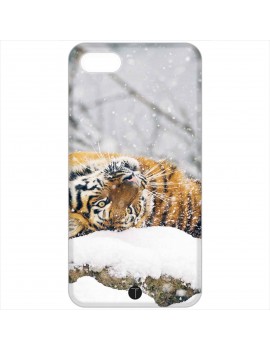 456 - Tigre siberia