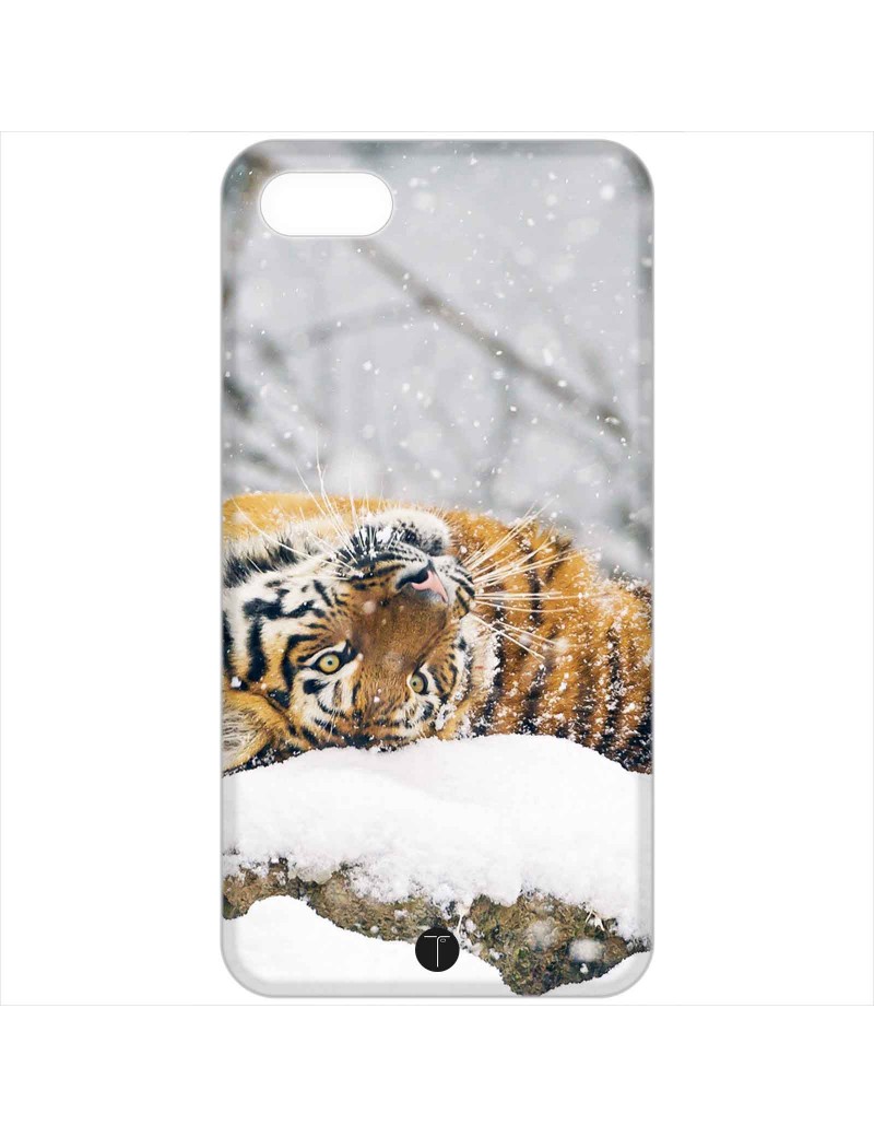 456 - Tigre siberia