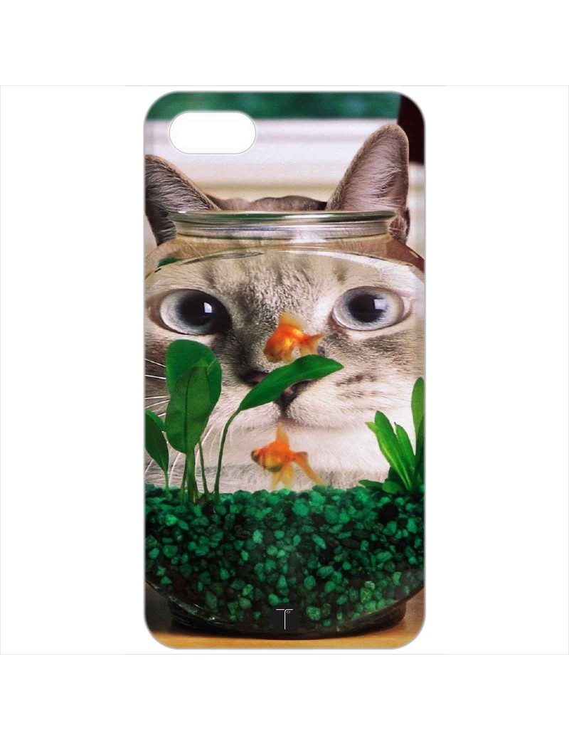 458 - Gatto e pesci