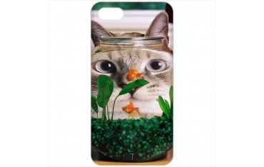 458 - Gatto e pesci