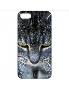 459 - gatto grigio