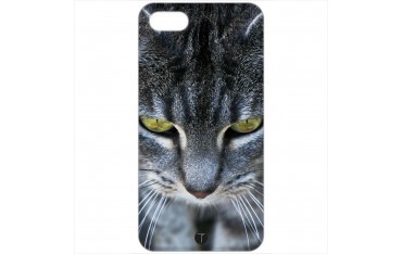 459 - gatto grigio