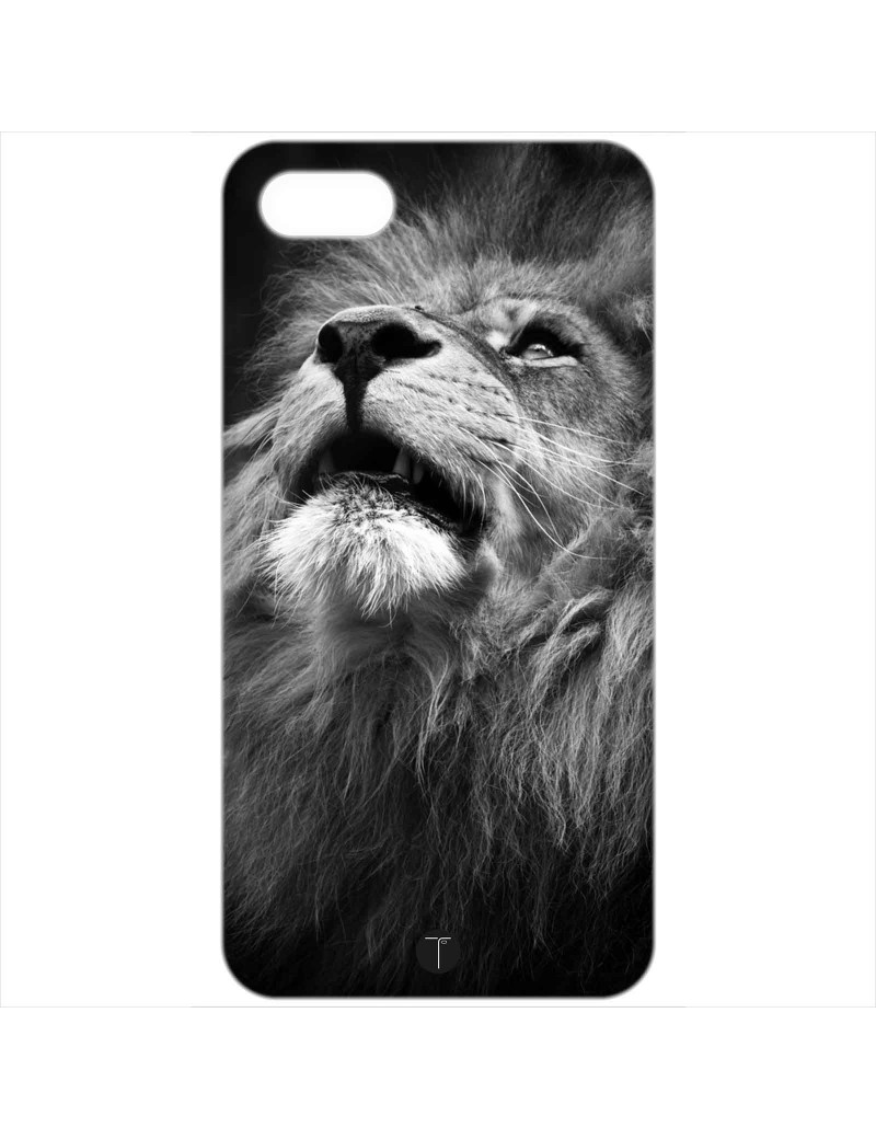 461 - Leone