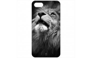 461 - Leone