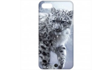 466 - Leopardo
